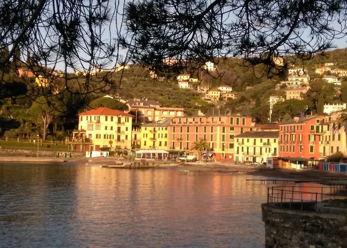 Margherita *